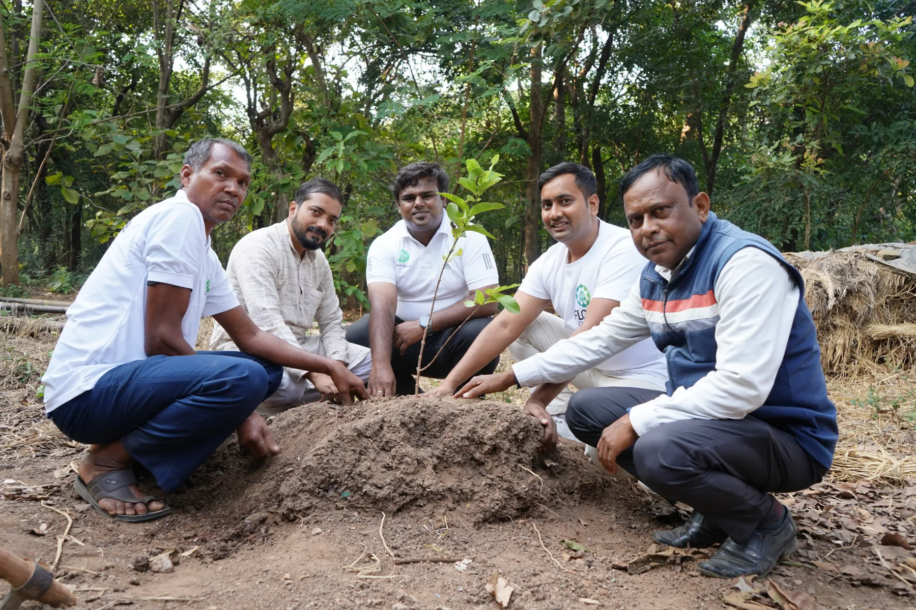Afforestation project landscape