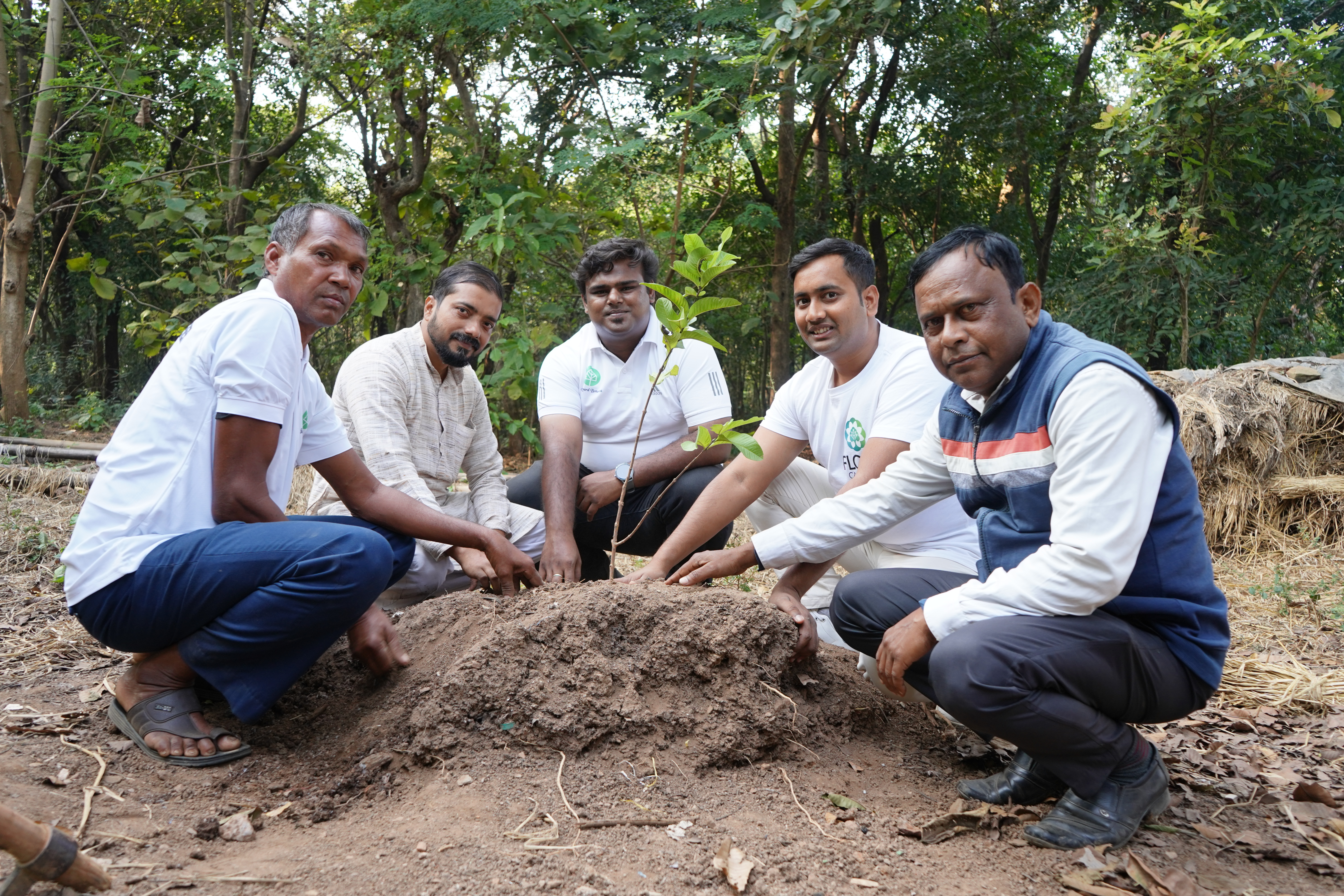 Afforestation project landscape
