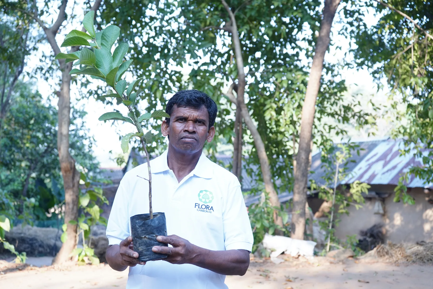 A Flora Carbon AI field team member collecting data for an agroforestry carbon project