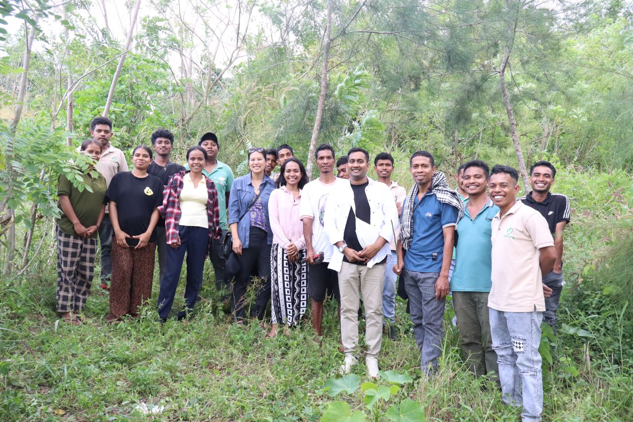 Timor-Leste smallholder agroforestry project