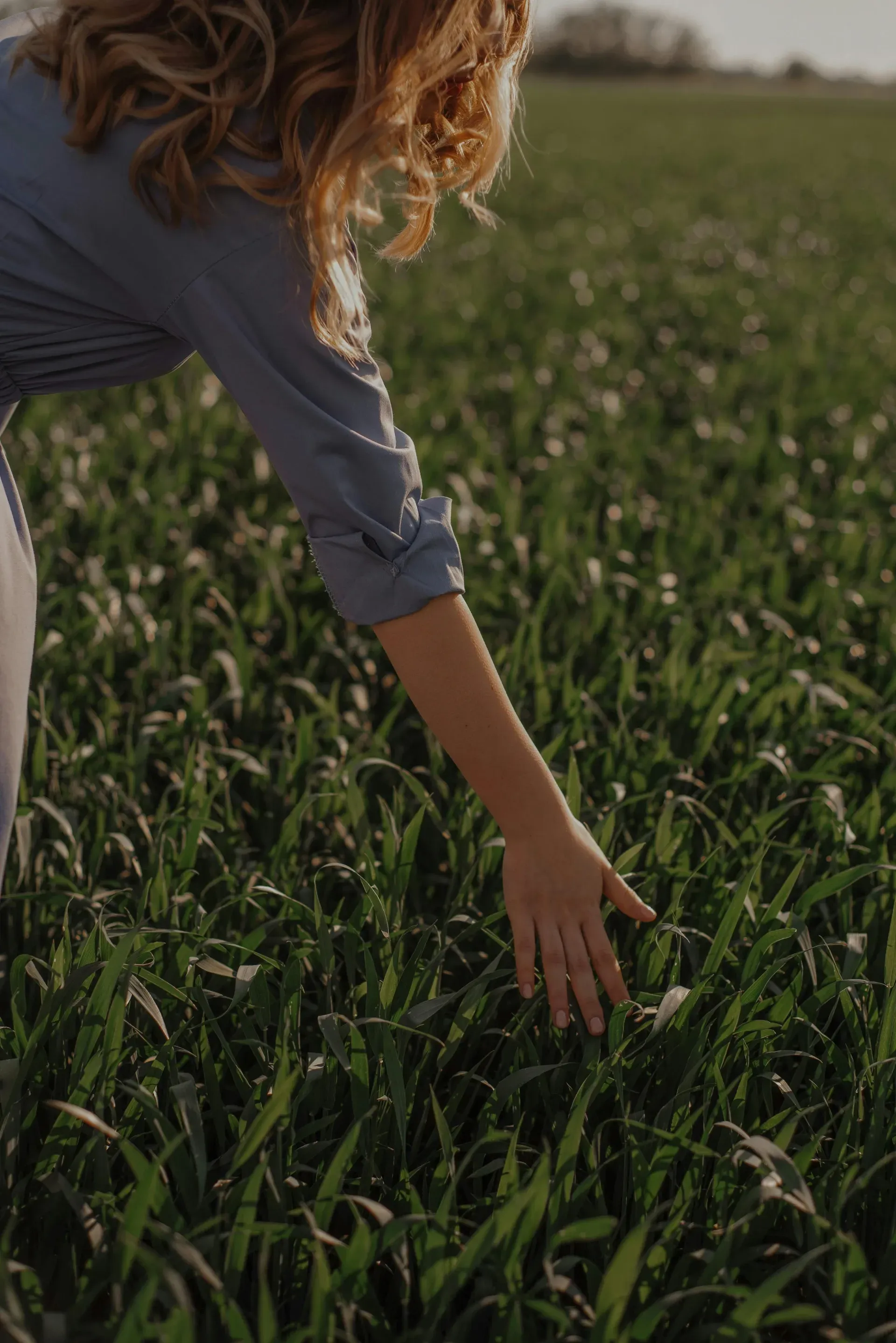 Hand holding a seedling above soil on a carbon project site