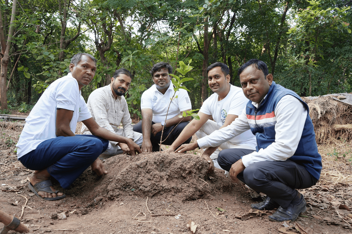 Afforestation project site under satellite monitoring