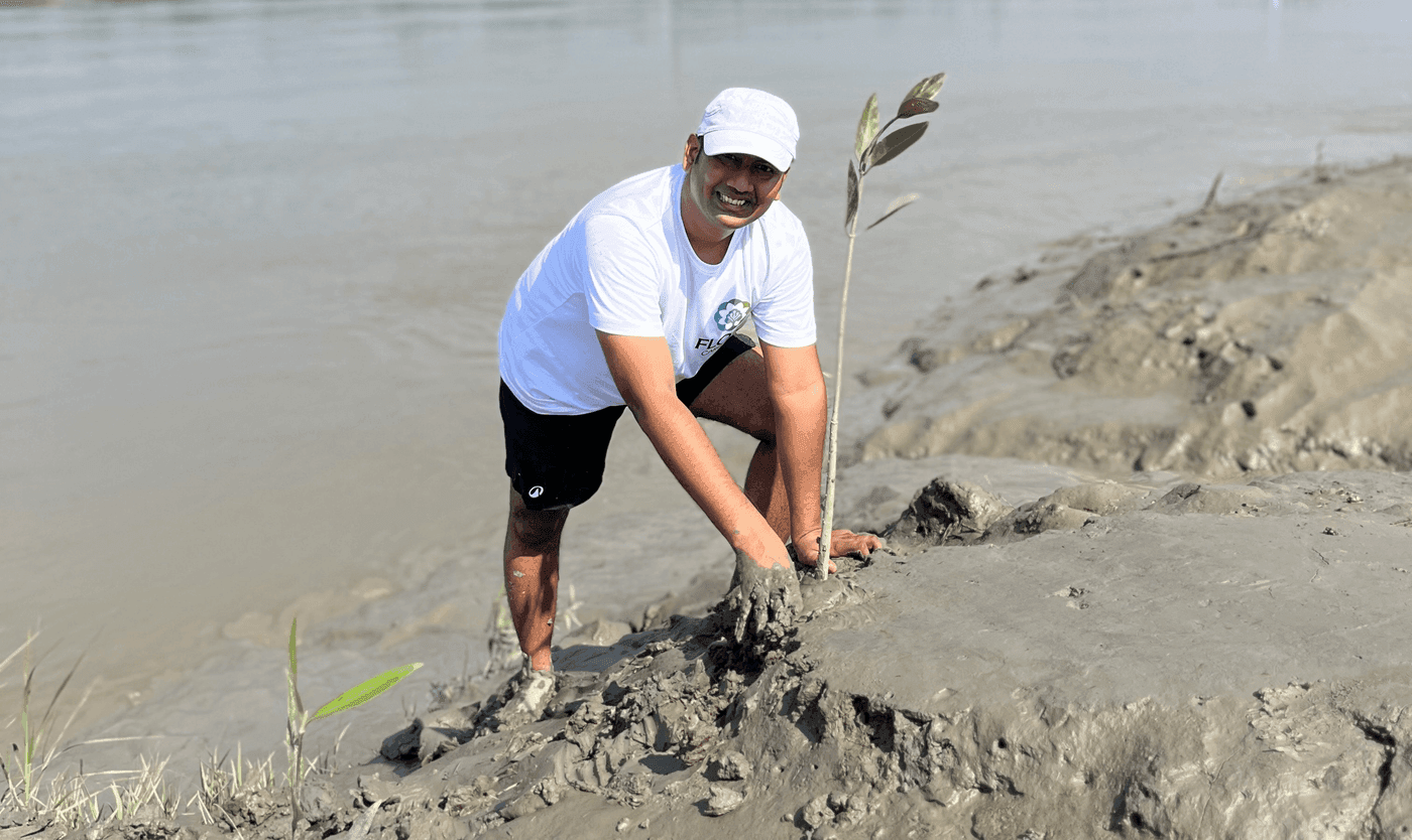 Mangrove restoration site in a tidal landscape