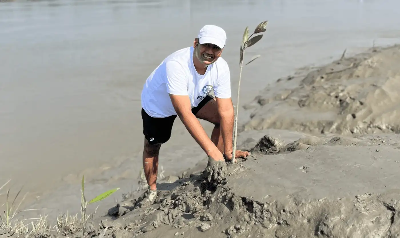Mangrove restoration site in a tidal landscape